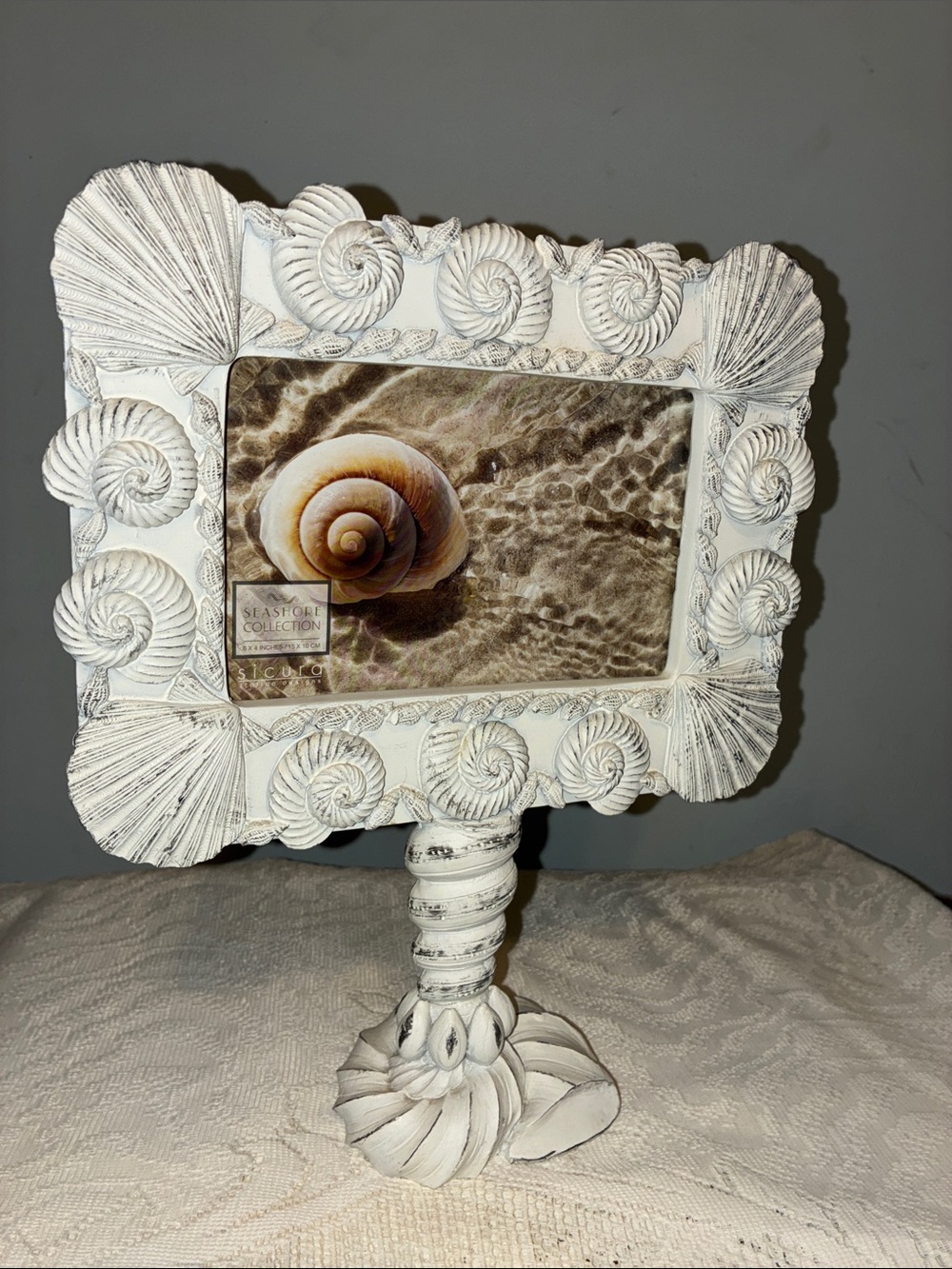 White Distressed Seashell Pedestal Picture Frame from The Sicura collection.